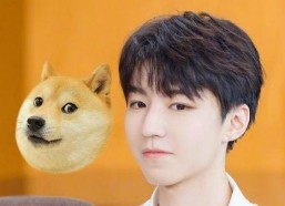 王俊凯吃瓜娱乐视频直播,揭秘娱乐圈幕后故事