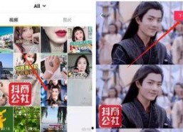 娱乐吃瓜姐视频原声,揭秘娱乐圈幕后真相，带你领略明星们的真实生活